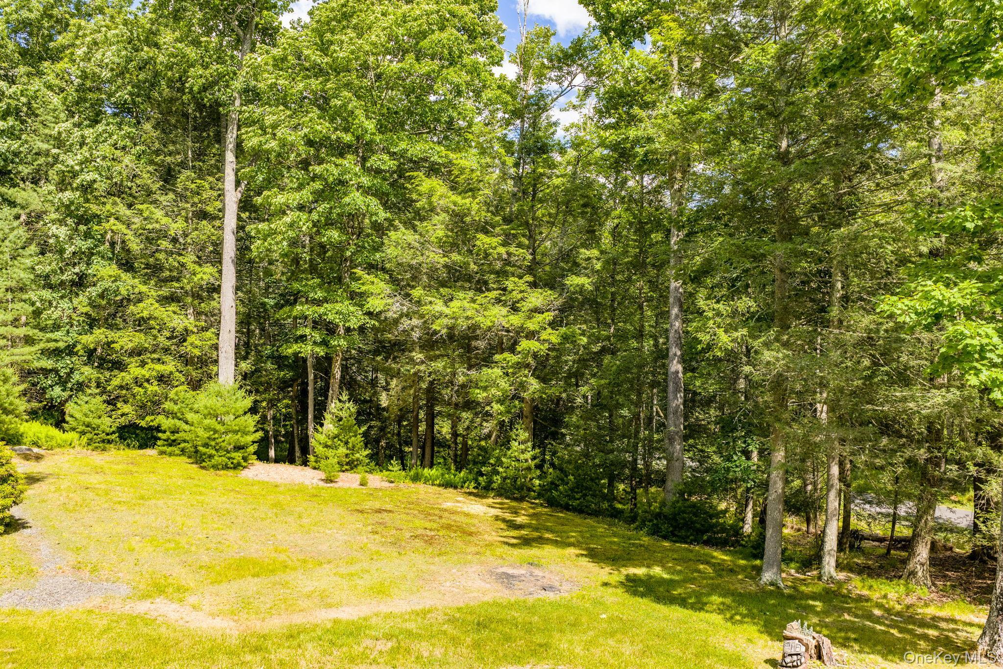 Single Family Collins Road Sullivan County, NY 12732, MLS-1012464-24