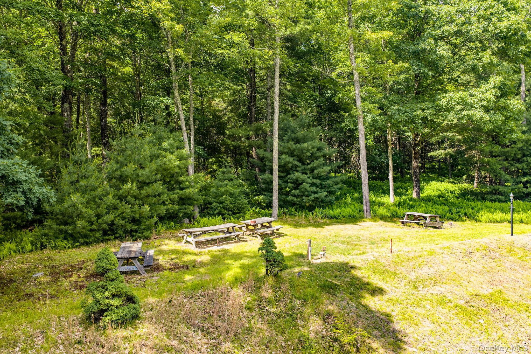 Single Family Collins Road Sullivan County, NY 12732, MLS-1012464-26