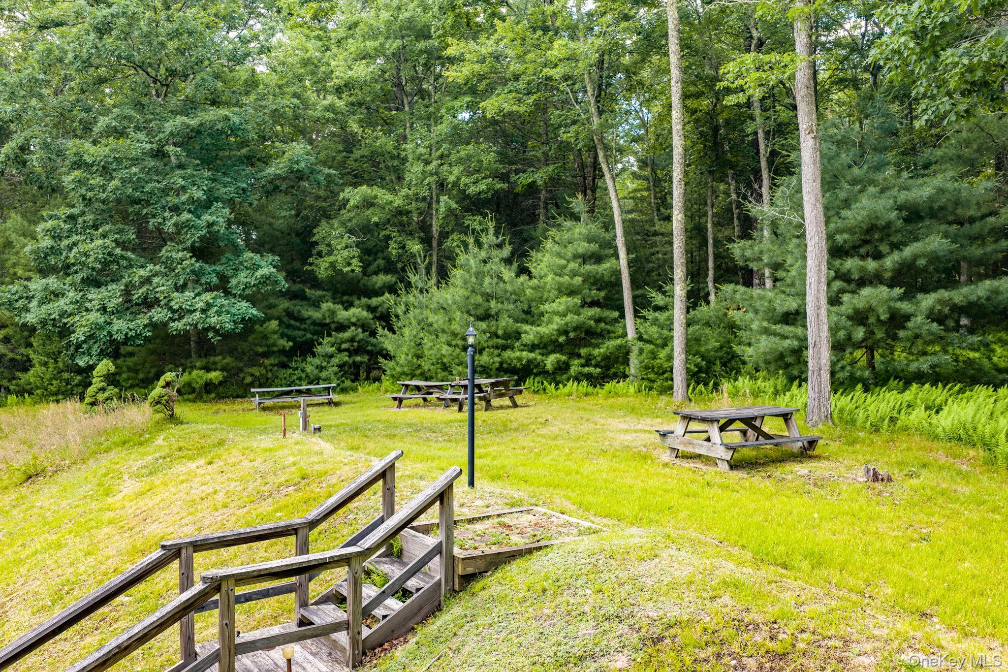 Single Family Collins Road Sullivan County, NY 12732, MLS-1012464-31