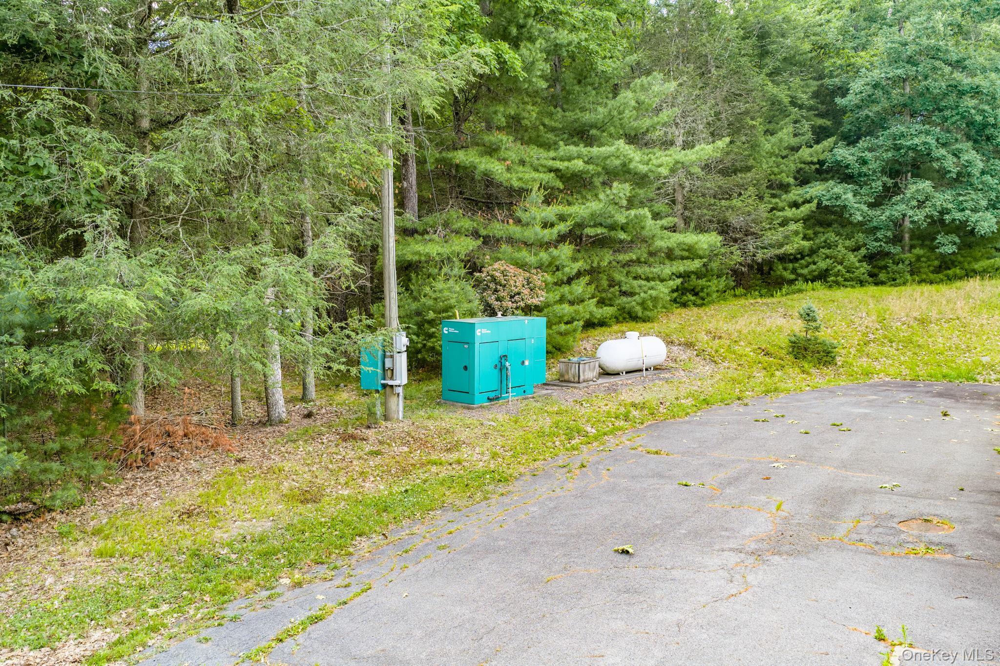 Single Family Collins Road Sullivan County, NY 12732, MLS-1012464-33