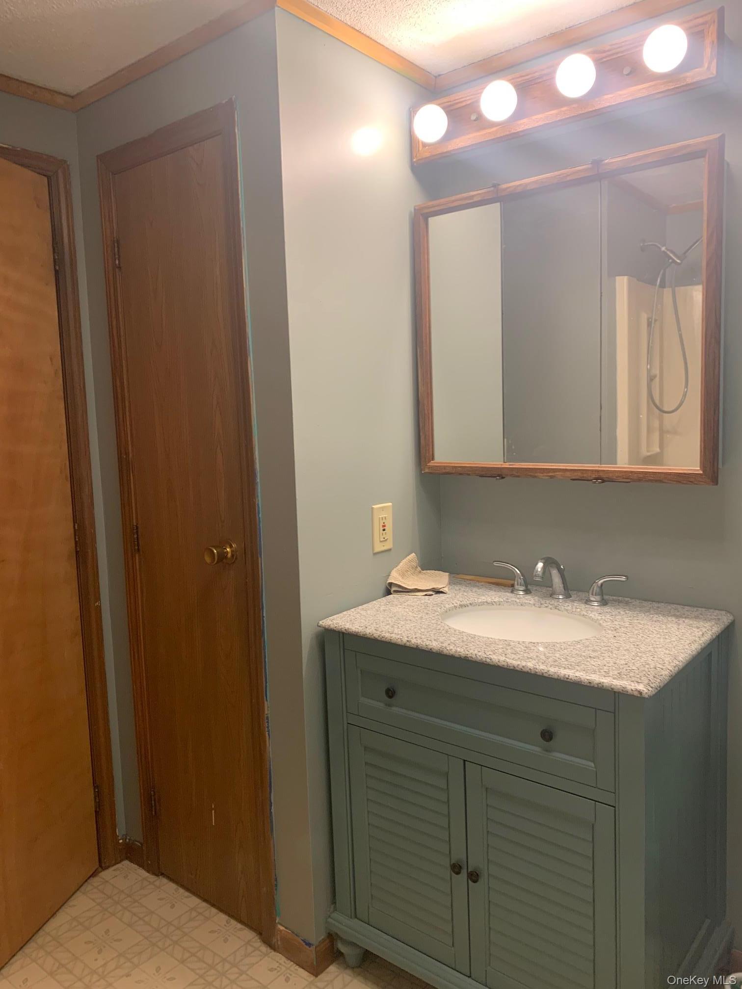 Single Family Cambridge Drive  Dutchess County, NY 12571, MLS-1012471-17