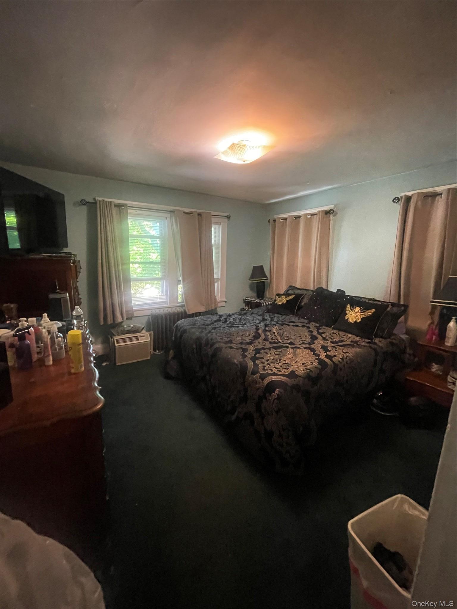 Single Family Prospect Avenue  Westchester County, NY 10607, MLS-1012503-13