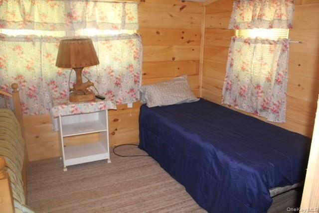 Single Family Friedenstein Road  Sullivan County, NY 12760, MLS-1012527-10