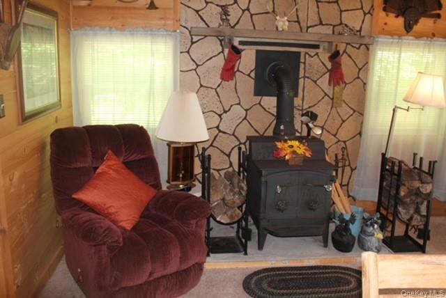 Single Family Friedenstein Road  Sullivan County, NY 12760, MLS-1012527-13