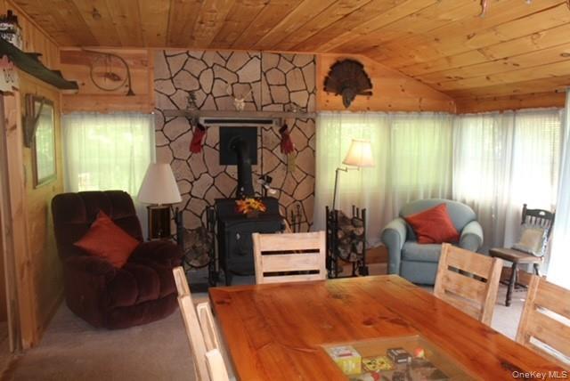 Single Family Friedenstein Road  Sullivan County, NY 12760, MLS-1012527-14