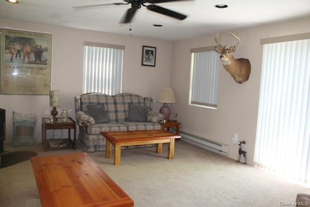 Single Family Friedenstein Road  Sullivan County, NY 12760, MLS-1012527-19