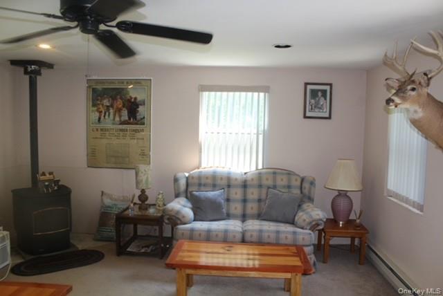 Single Family Friedenstein Road  Sullivan County, NY 12760, MLS-1012527-20