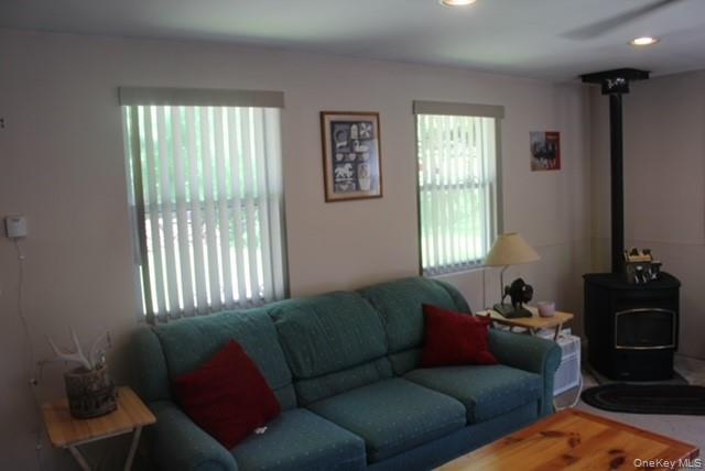Single Family Friedenstein Road  Sullivan County, NY 12760, MLS-1012527-22
