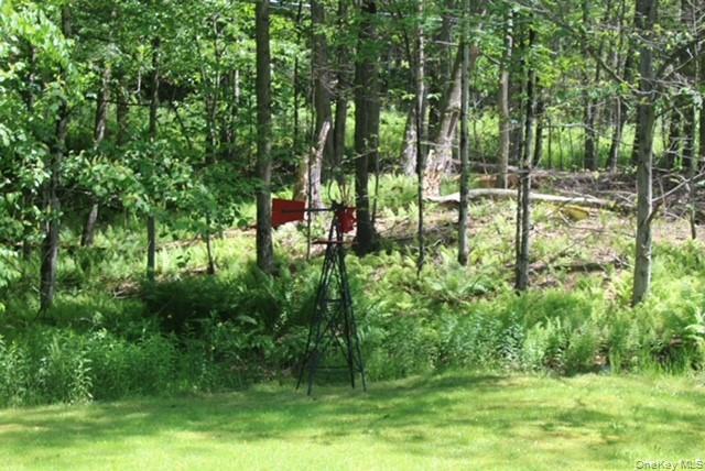 Single Family Friedenstein Road  Sullivan County, NY 12760, MLS-1012527-7