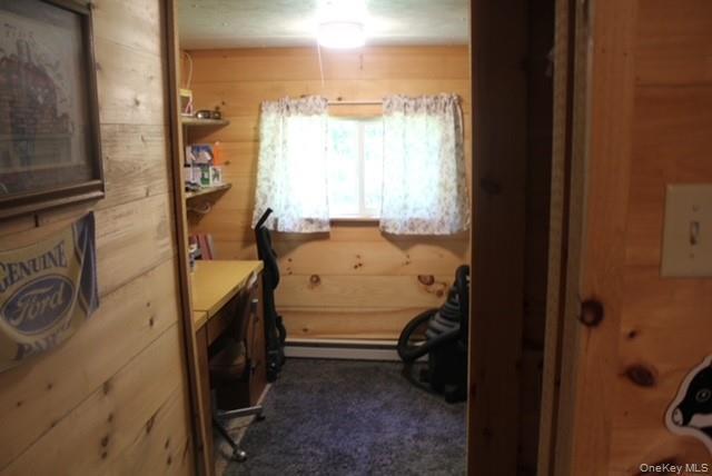 Single Family Friedenstein Road  Sullivan County, NY 12760, MLS-1012527-8