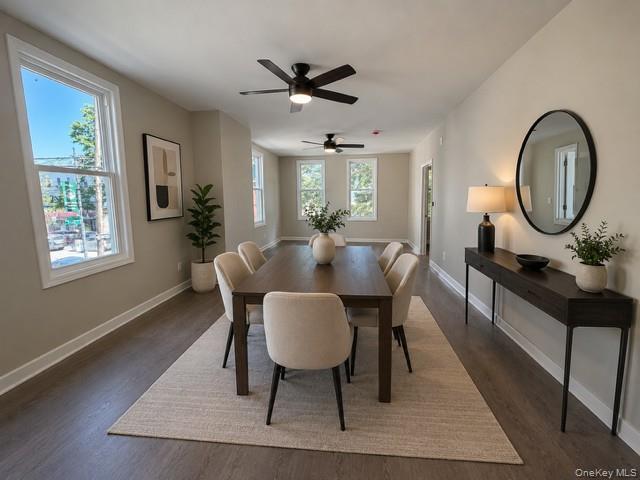 Apartment Morris Park Avenue  Bronx, NY 10462, MLS-1012564-13