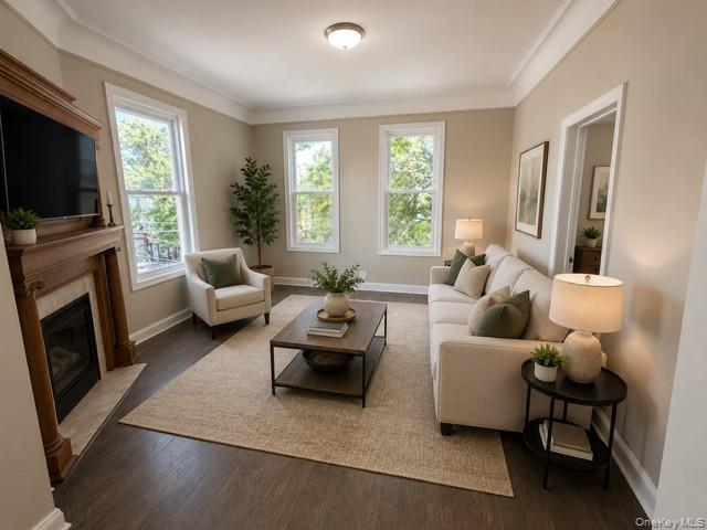 Apartment Morris Park Avenue  Bronx, NY 10462, MLS-1012564-7