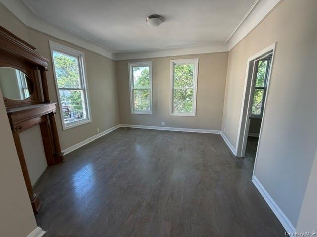 Apartment Morris Park Avenue  Bronx, NY 10462, MLS-1012564-8