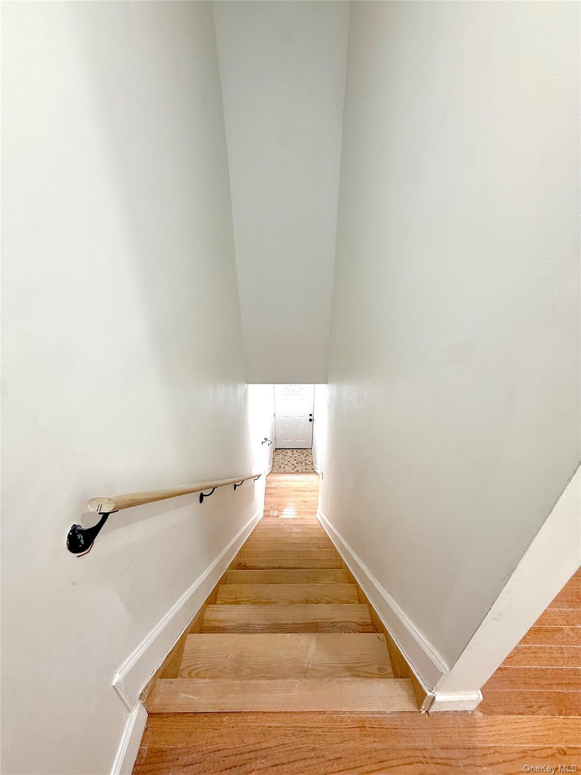 Single Family 89th Brooklyn, NY 11236, MLS-1012583-11