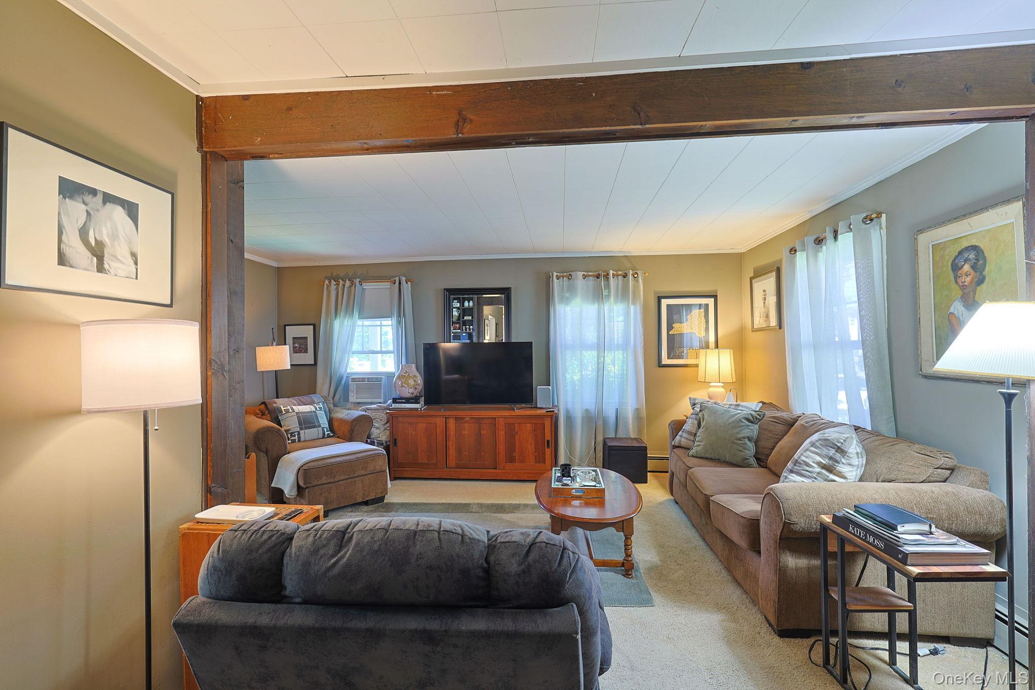 Single Family Algernon Street Orange County, NY 12518, MLS-1012659-15