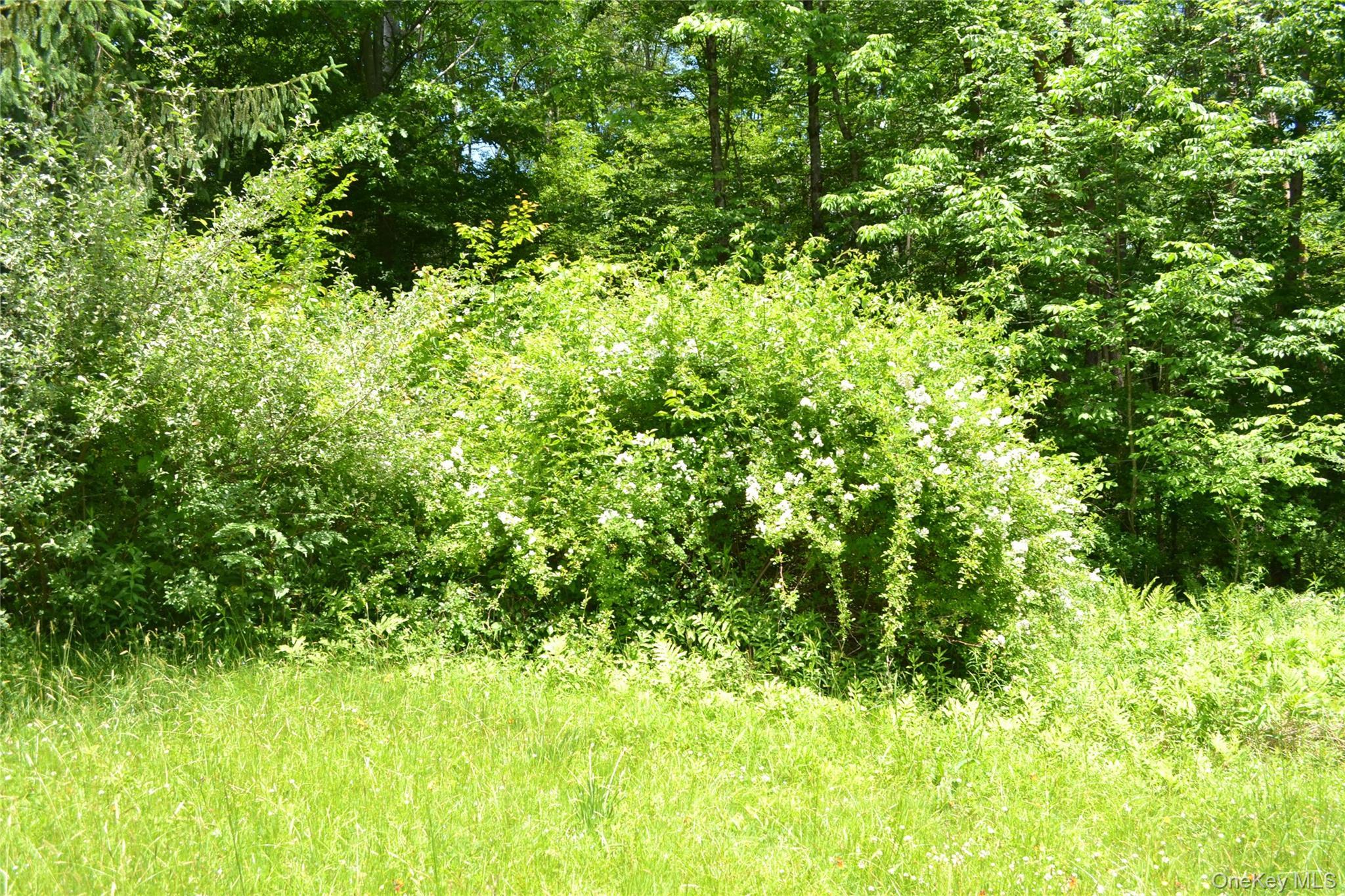 Single Family Gavette Road  Delaware County, NY 12776, MLS-1012684-25