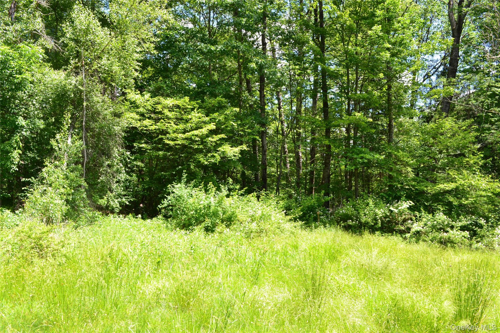 Single Family Gavette Road  Delaware County, NY 12776, MLS-1012684-26