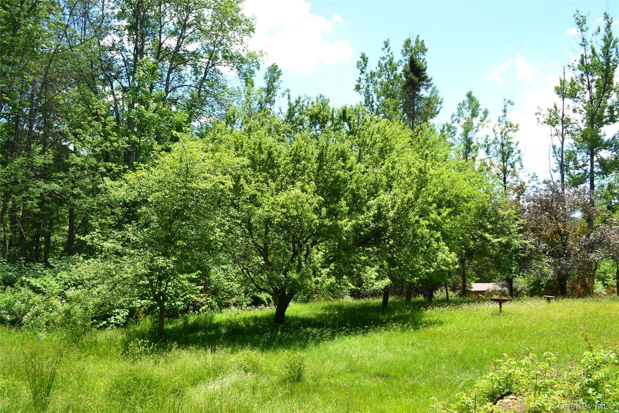 Single Family Gavette Road  Delaware County, NY 12776, MLS-1012684-27