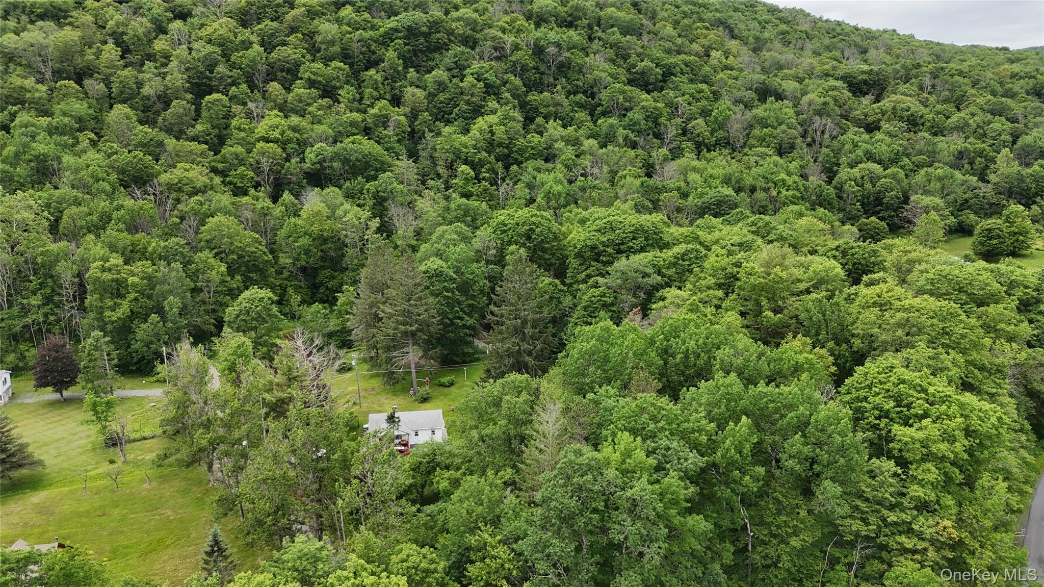 Single Family Gavette Road  Delaware County, NY 12776, MLS-1012684-30
