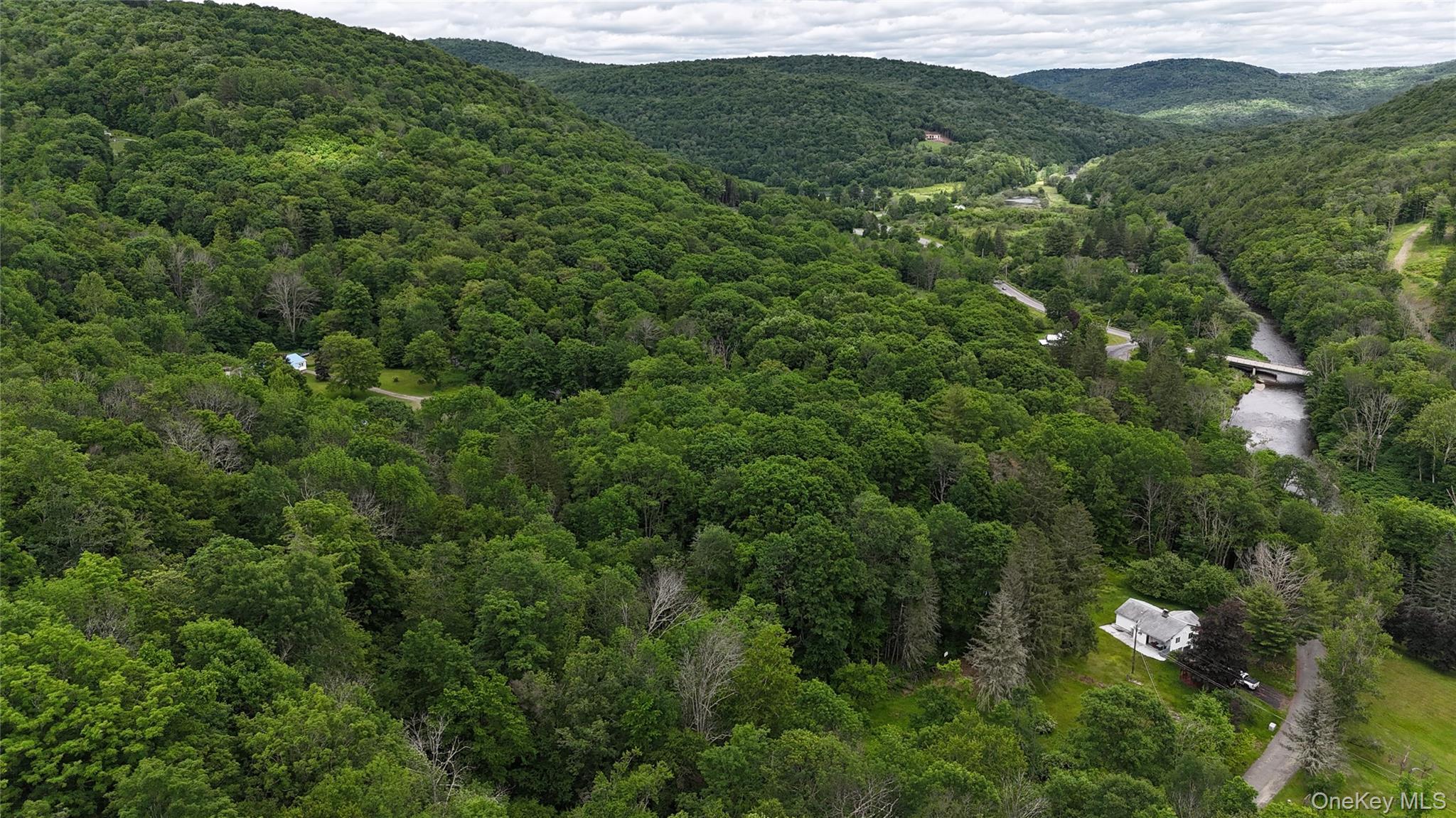 Single Family Gavette Road  Delaware County, NY 12776, MLS-1012684-31
