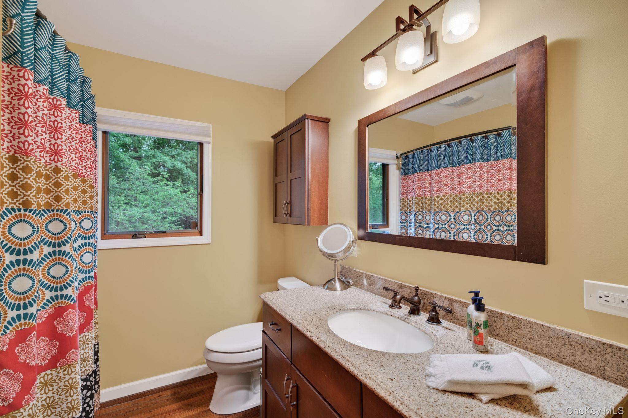 Single Family Mary Lou Lane Ulster County, NY 12481, MLS-1012706-23