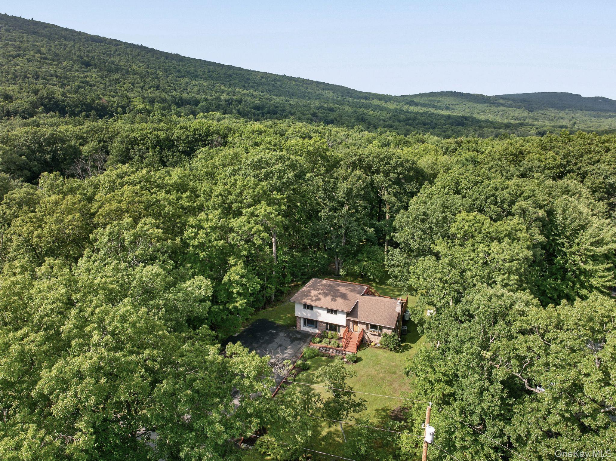 Single Family Mary Lou Lane Ulster County, NY 12481, MLS-1012706-3