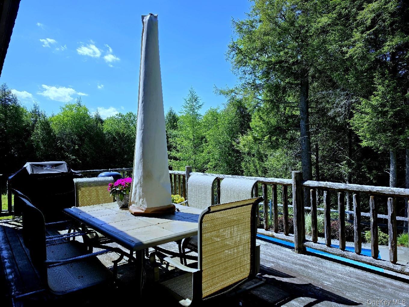 Single Family Eagles Ridge Way  Sullivan County, NY 12768, MLS-1012739-10