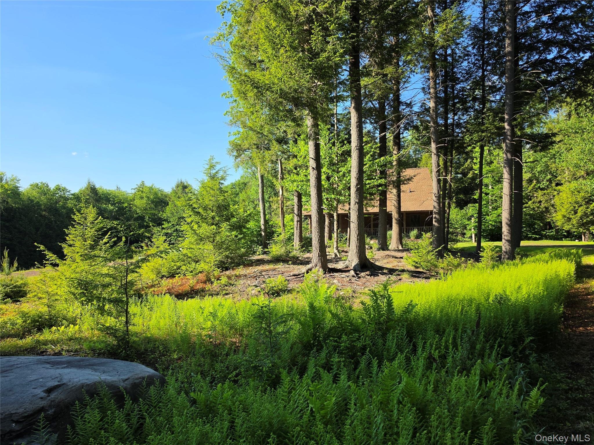 Single Family Eagles Ridge Way  Sullivan County, NY 12768, MLS-1012739-48