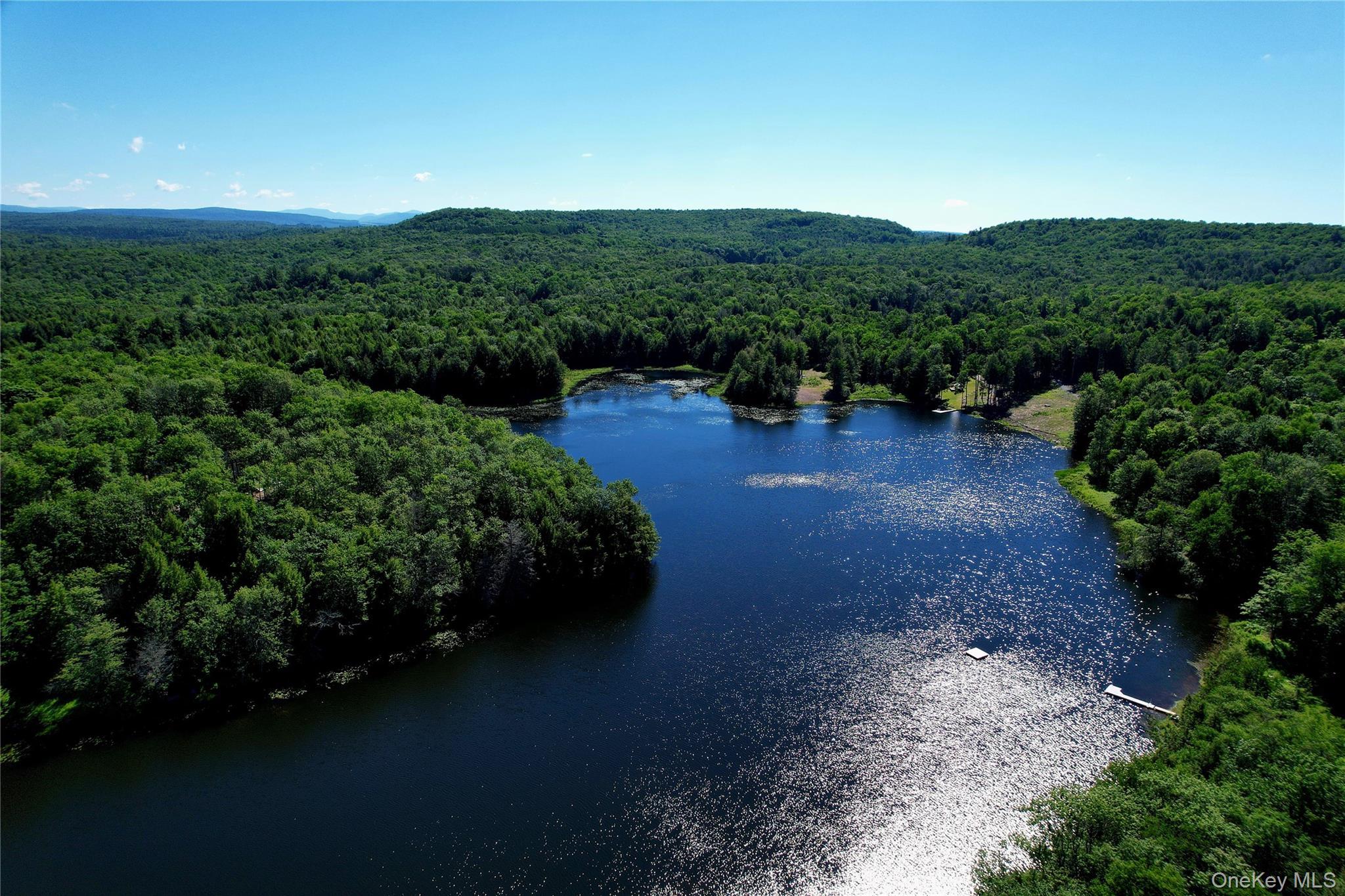 Single Family Eagles Ridge Way  Sullivan County, NY 12768, MLS-1012739-49