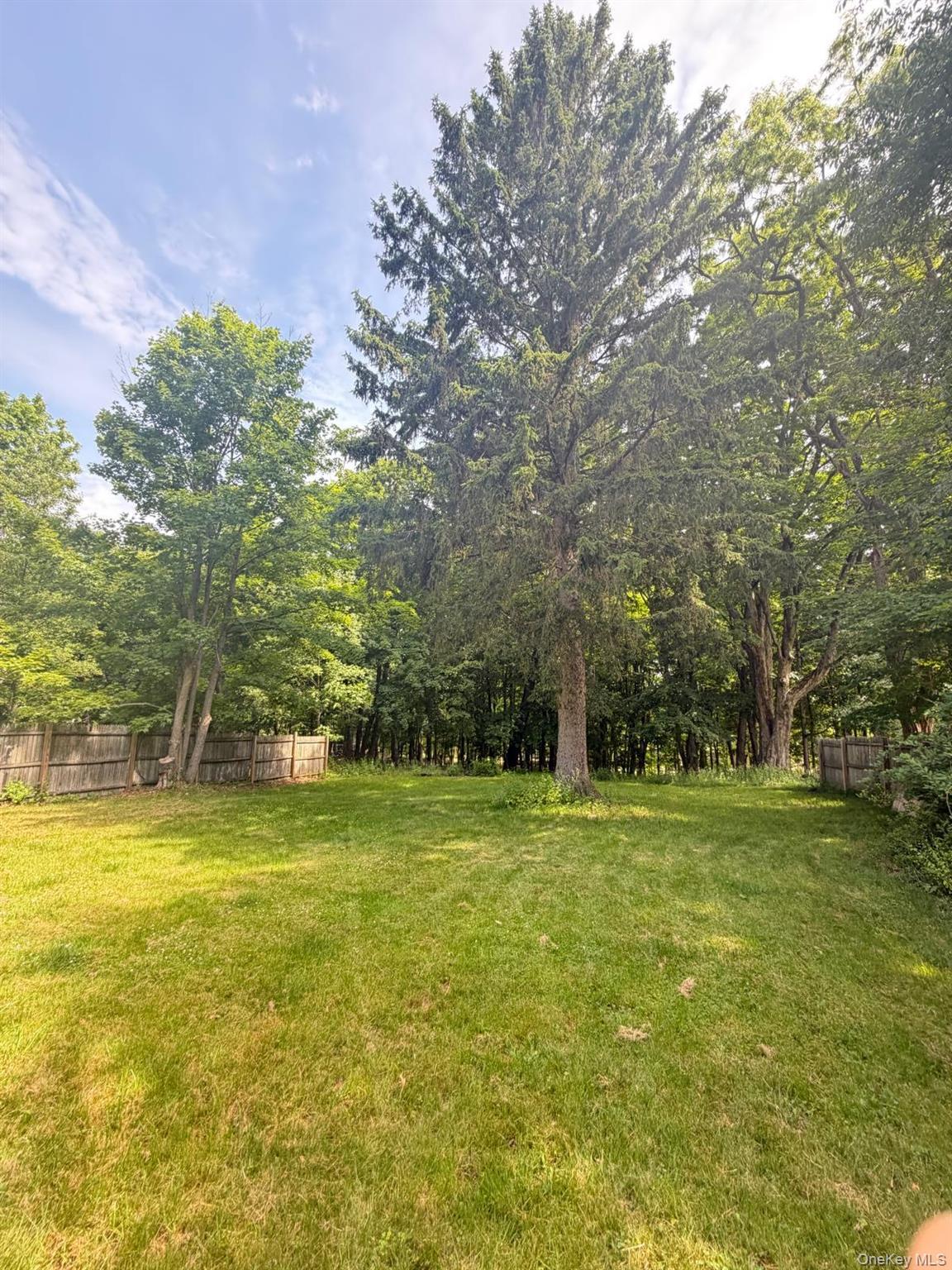 Single Family Starr Avenue Sullivan County, NY 12701, MLS-1012822-4