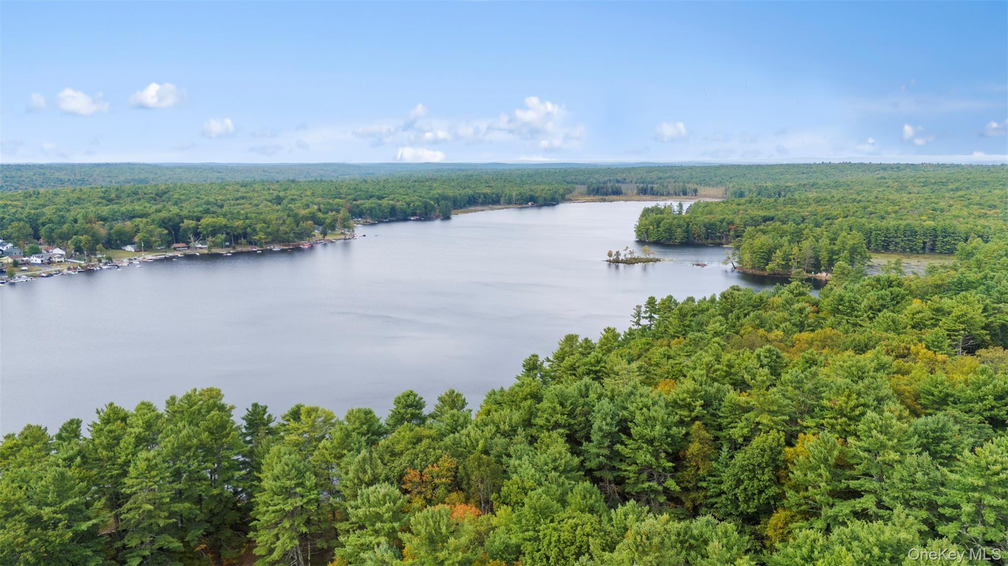 Single Family May Place  Sullivan County, NY 12737, MLS-1012823-2