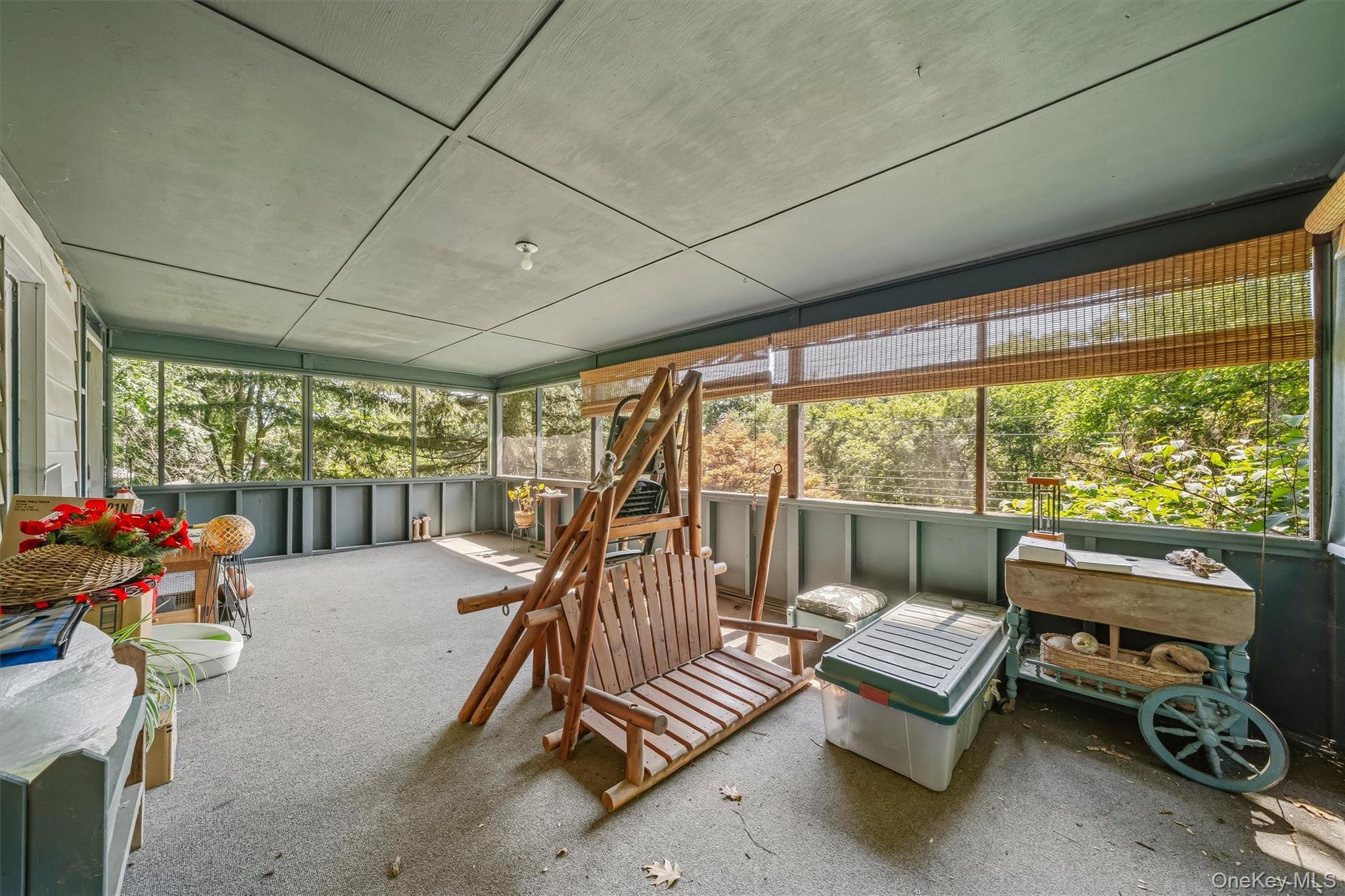 Single Family Rt-42 Orange County, NY 12780, MLS-1012832-19