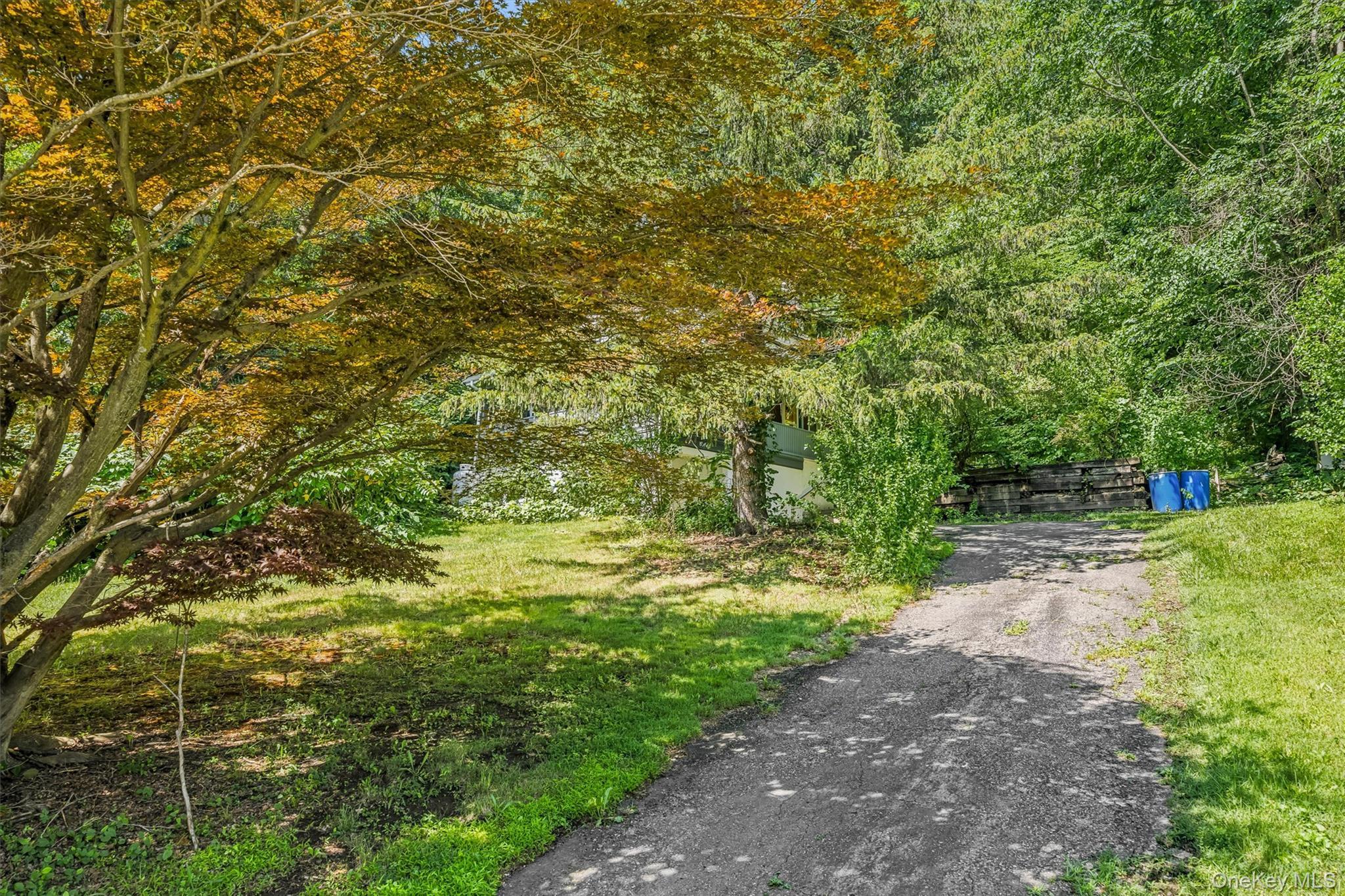 Single Family Rt-42 Orange County, NY 12780, MLS-1012832-2