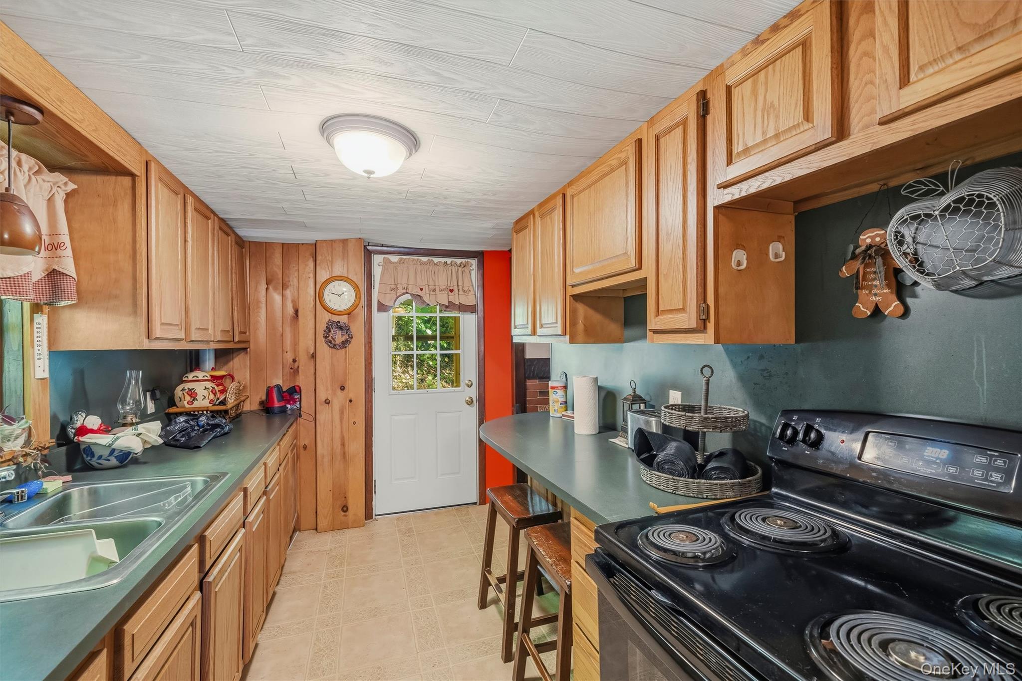 Single Family Rt-42 Orange County, NY 12780, MLS-1012832-23
