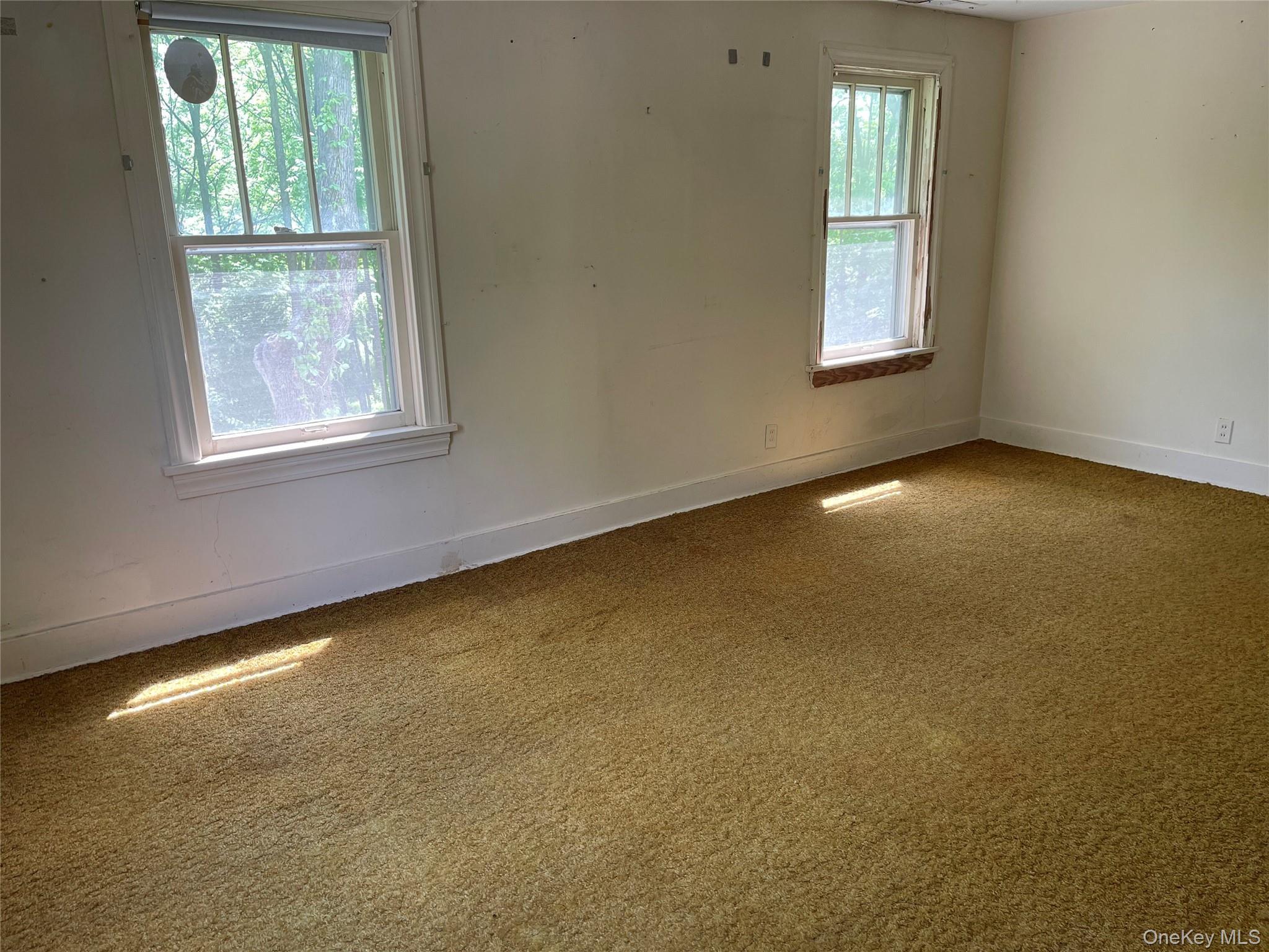 Single Family State Route 203 Columbia County, NY 12037, MLS-1012896-16