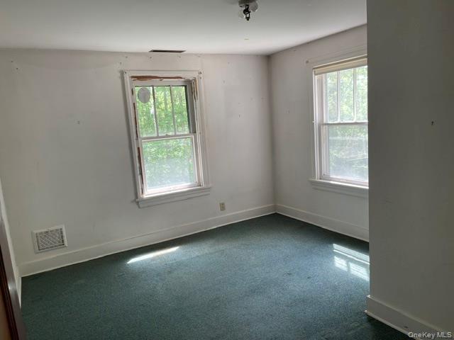 Single Family State Route 203 Columbia County, NY 12037, MLS-1012896-17
