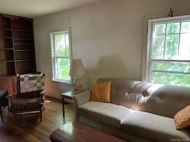 Single Family State Route 203 Columbia County, NY 12037, MLS-1012896-2