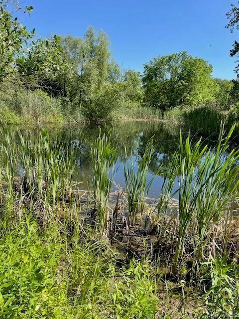 Single Family State Route 203 Columbia County, NY 12037, MLS-1012896-39