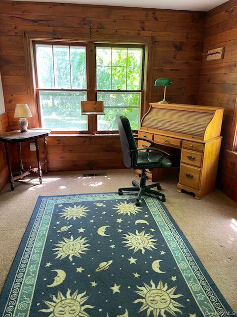 Single Family State Route 203 Columbia County, NY 12037, MLS-1012896-8