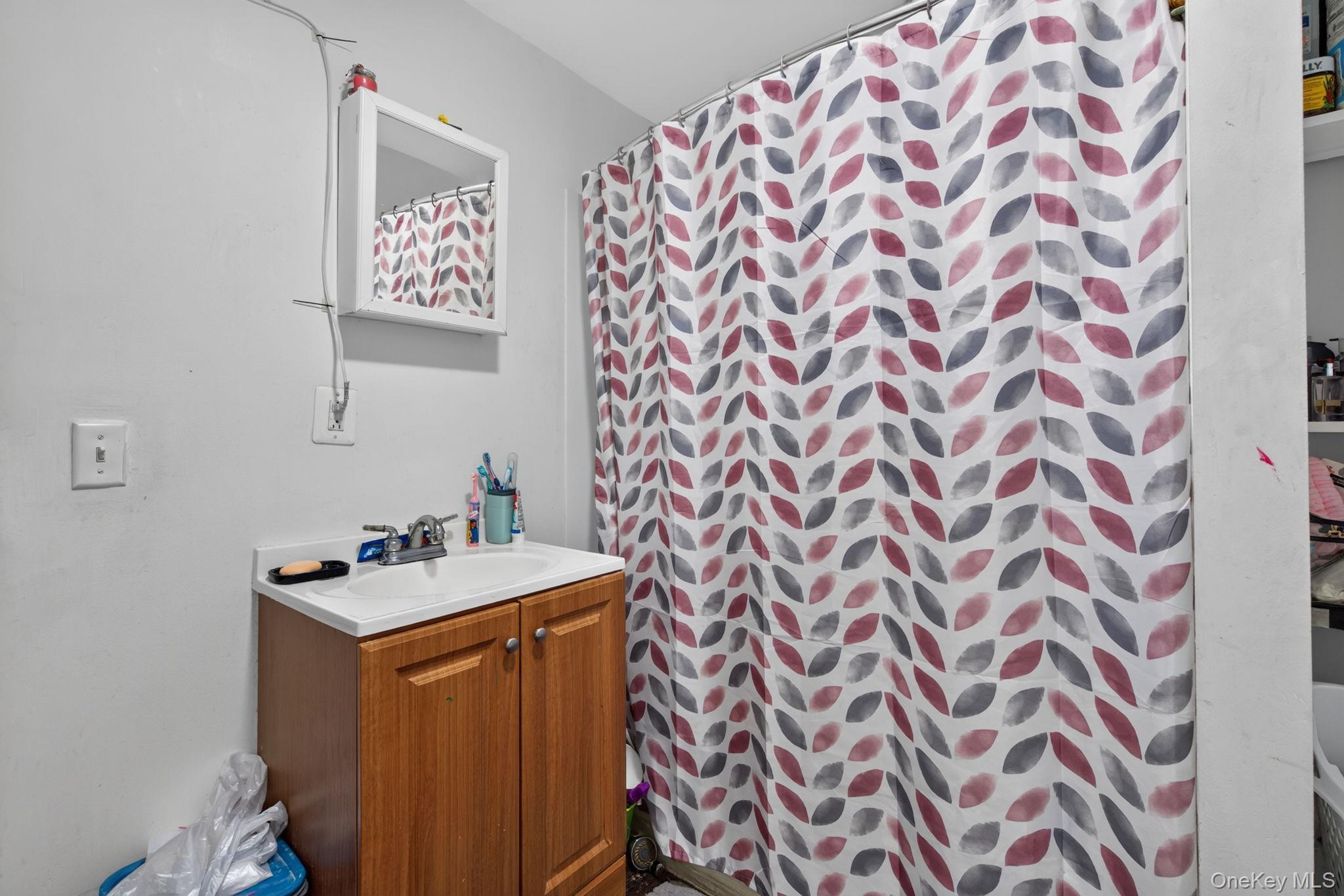 Single Family Dubois Street Orange County, NY 12550, MLS-1012933-15