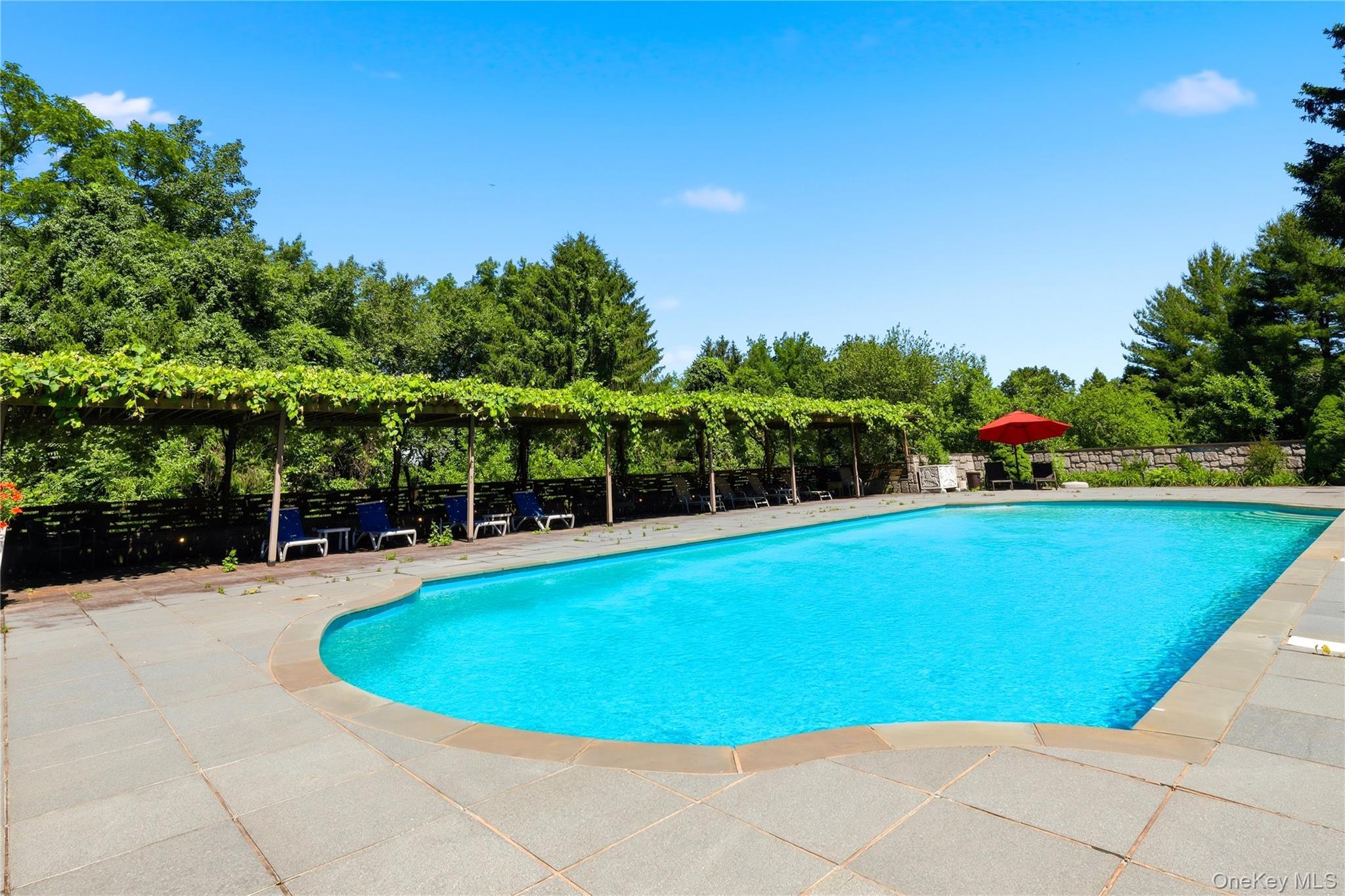 Single Family Mclain Street  Westchester County, NY 10549, MLS-1012962-37