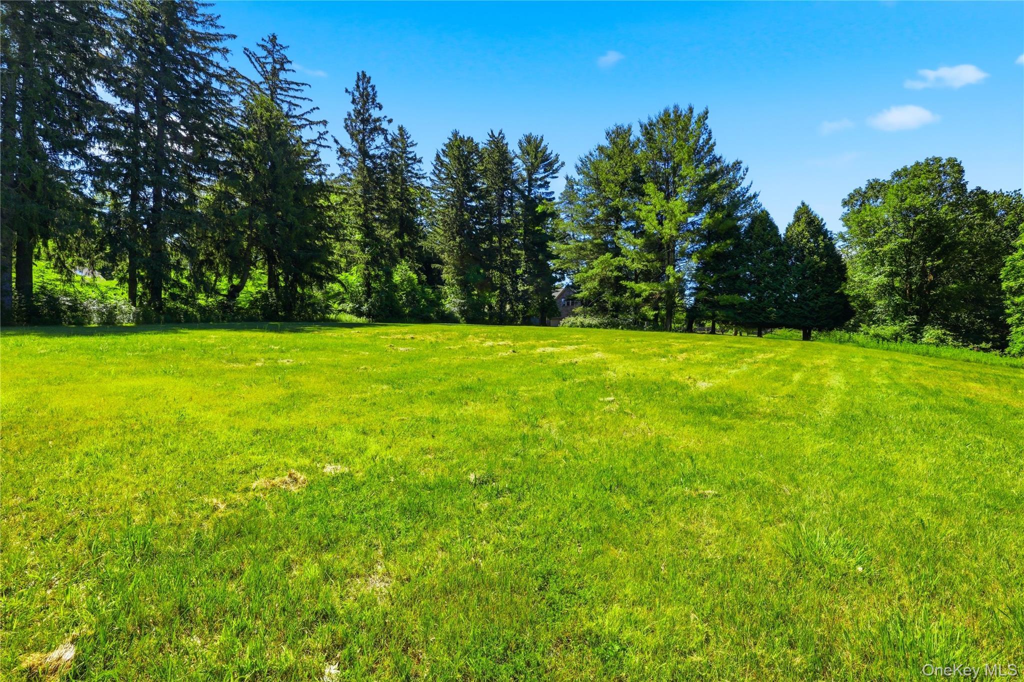 Single Family Mclain Street  Westchester County, NY 10549, MLS-1012962-43