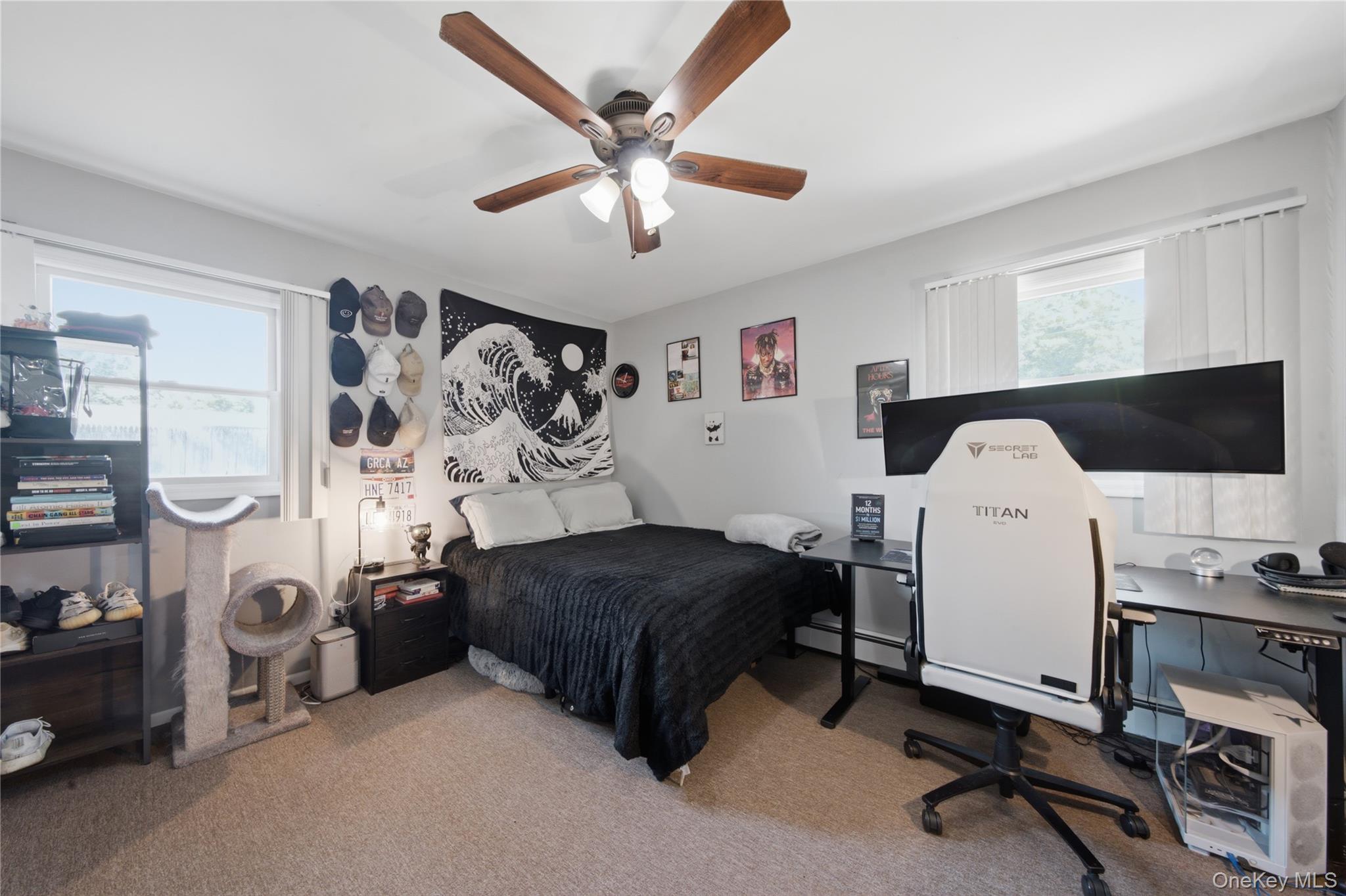 Single Family Highland Avenue Suffolk County, NY 11772, MLS-1012978-15