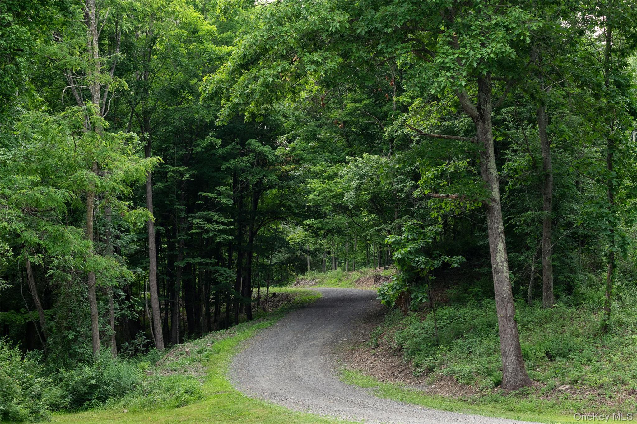 Single Family Stanford Road Dutchess County, NY 12545, MLS-1012988-7