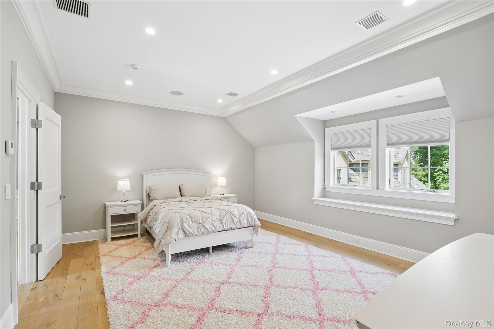 Single Family Cedar Swamp Road Nassau County, NY 11753, MLS-1013010-32