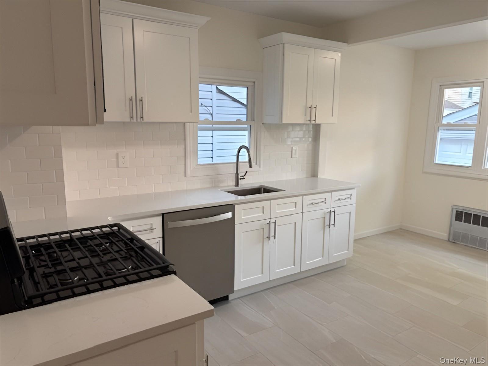 Single Family Sutter Avenue Queens, NY 11420, MLS-1013022-10