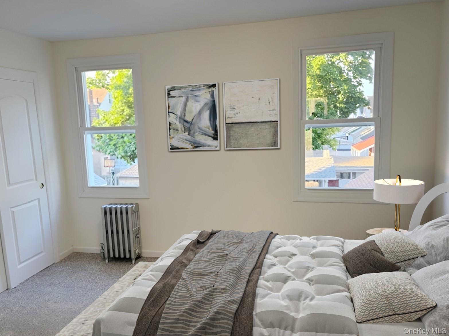 Single Family Sutter Avenue Queens, NY 11420, MLS-1013022-19