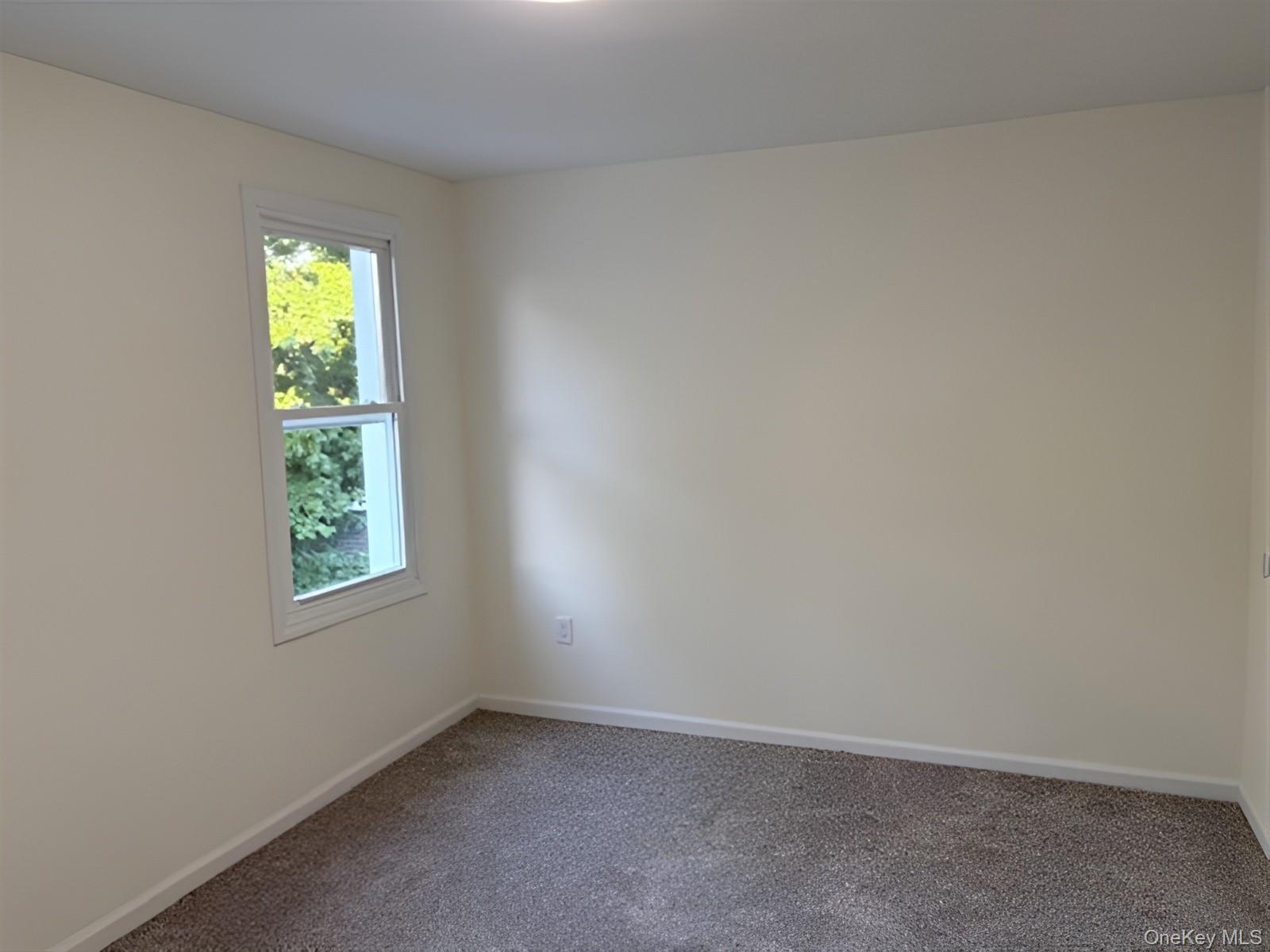 Single Family Sutter Avenue Queens, NY 11420, MLS-1013022-22