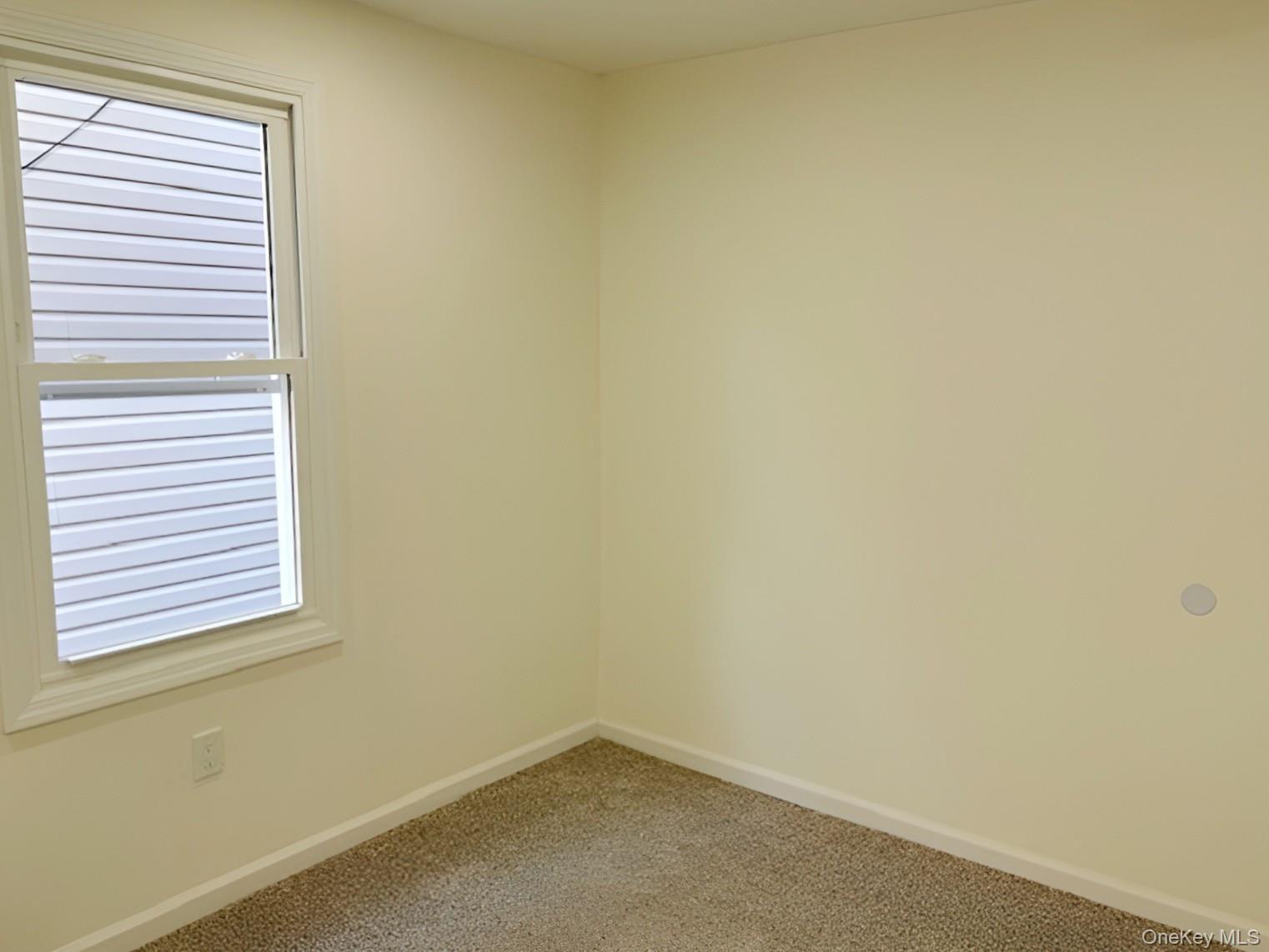 Single Family Sutter Avenue Queens, NY 11420, MLS-1013022-28