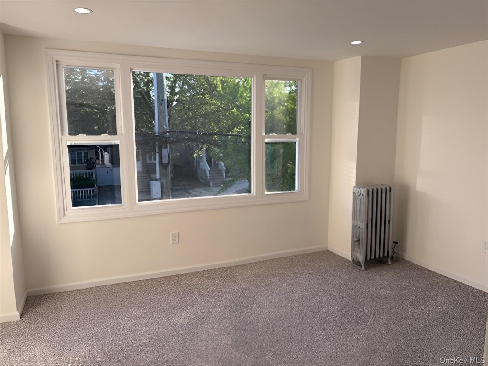 Single Family Sutter Avenue Queens, NY 11420, MLS-1013022-29